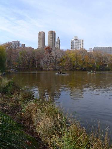 USA_2011-11-20 12-32-22